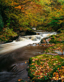 East Lyn River, Exmoor, England