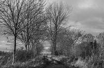 Herbst in Schwarzweiß - Autumn in black and white von ropo13