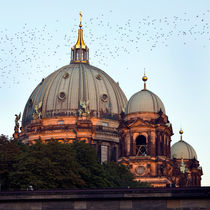 BERLINER DOM - Mitte by captainsilva