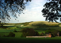 North Wessex Downs by Mark Llewellyn