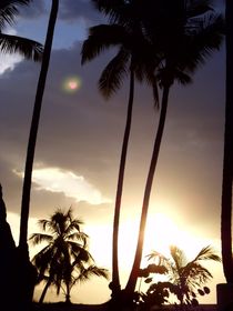 Romantic heart in cloud, Sunset Palms (Samana) von Tricia Rabanal