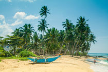 Blauer Katamaran an einem Strand mit Kokospalmen von Gina Koch