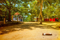 temple complex with a sleeping dog by Gina Koch