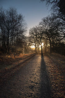 Cycle Path Sunrise von David Tinsley