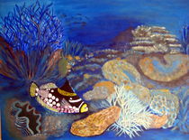 Fisch im Meer,  Unterwasser, Meer by markgraefe