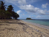 Caribbean Beach by Tricia Rabanal