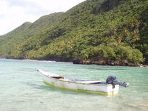 Boat Beach of Naufrago, Caribbean, Samana, Republica Dominicana by Tricia Rabanal