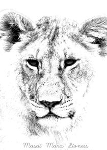 Lion Portrait, Masai Mara, Kenya, East Africa by Aidan Moran