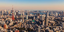 Tokyo 11 von Tom Uhlenberg