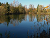 Herbst am Bonauer Weiher von Brigitte Deus-Neumann