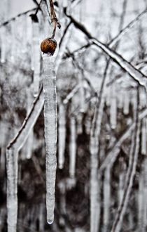 Brr , Freezing Britain von Jeremy Sage