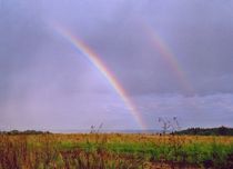 Regenbogen von aidao