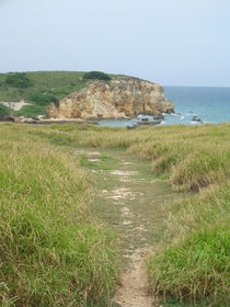 Caribbean Cliffs, Puerto Rico by Tricia Rabanal