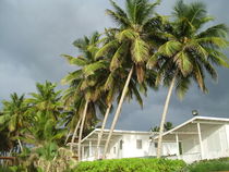 Cabin Isabela, Puerto Rico von Tricia Rabanal