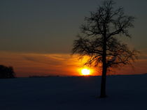 Blaue Stunde by Brigitte Deus-Neumann