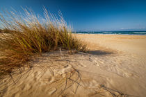 Strandszene von gfischer