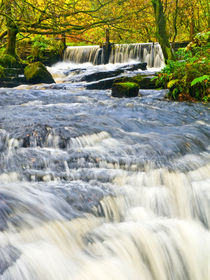 Waterfall, Garnwent Forestry Centre  by Hazel Powell