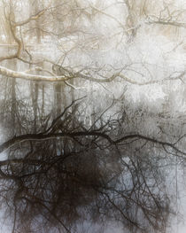 Reflections von Mikael Svensson