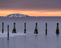 Wooden pilings  von Mikael Svensson