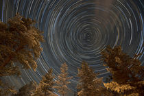 Startrails over forest von Mikael Svensson