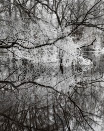 River reflection von Mikael Svensson