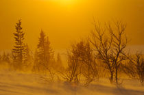 Wind and Sun von Mikael Svensson