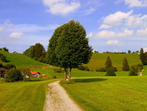 Sommerwege von Ulrike Ilse Brück