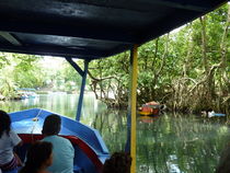 Safari Republica Dominicana von klaus Gruber