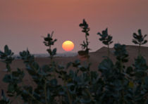 Sunset in the desert