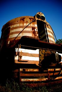 Locomotive and vegetation by Fabio Godoy