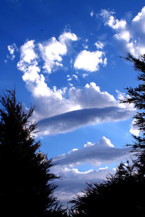 Cloud Ufo von Gitta Wick