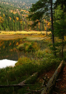 Im Naturpark von Brigitte Deus-Neumann