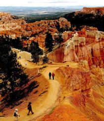 Tourists trail in Bryce Canyon von Maks Erlikh