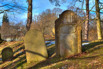  Jewish cemetery von Gina Koch