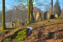 Jüdischer Friedhof by Gina Koch