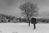 in the Harz National Park von Andreas Levi