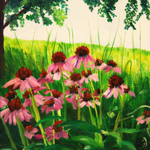 George Washington Carver coneflowers von Barry Weatherall