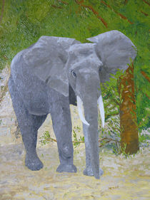 Elefantenbulle von Helmut Hackl