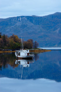 Ship in a Norwegian fjord by Intensivelight Panorama-Edition