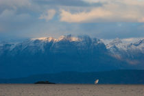 Schooner Anna Roegde cruising over a fjord von Intensivelight Panorama-Edition