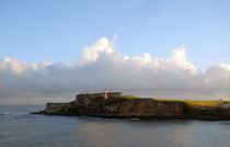 Guarding Puerto Rico von Judy Hall-Folde