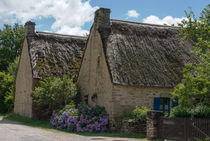 Cottages with hydrangeas by Ralf Rosendahl