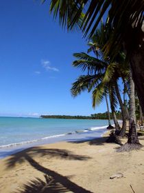 The Wonderful Beach von Tricia Rabanal