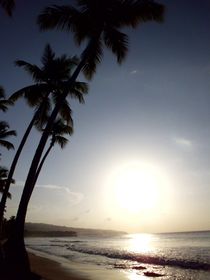 Beautiful Sunset, Samana von Tricia Rabanal