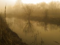 River fog von Hristo Hristov