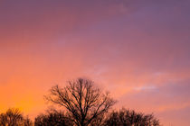 Sonnenuntergang hinter Bäumen von kunertus