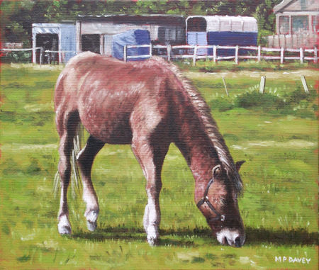 Painting-brown-horse-by-stables