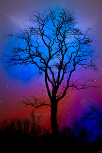 Fantasy Tree von Chris Lord