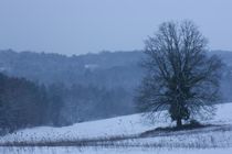 Winter Tale von grimauxjordan