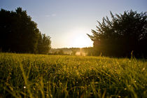 Prairie morning by grimauxjordan